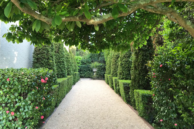 The Shartsis Gardens
